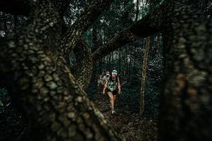 BIB: 
                            <button type="button" onclick="openModal(25680752)" class="btn btn-primary btn-sm float-right btn-popup" data-toggle="modal" data-target=".modal-high-quality">
                        <i class="fas fa-shopping-cart"></i> Add to Cart
                    </button>
                                            <button type="button" onclick="isThisMe(25680752, true)" class="btn btn-success btn-sm float-right btn-popup btn-isme hidden" data-toggle="tooltip" data-placement="bottom" title="นี่คือรูปของคุณใช่ไหม คลิกที่นี่เพื่อเอาเข้าอัลบั้ม">
                        <i class="fas fa-plus"></i> Add to album
                    </button>
                    <button type="button" onclick="isThisMe(25680752, false)" class="btn btn-warning btn-sm float-right btn-popup btn-isnotme hidden">
                        <i class="fas fa-ban"></i> Remove from album
                    </button>